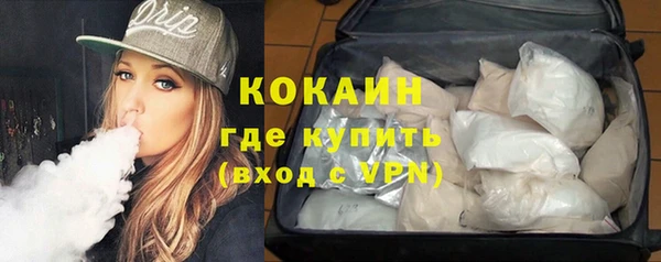 сатива Каменногорск