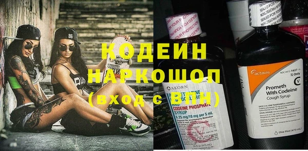 сатива Каменногорск