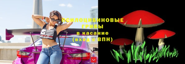 PSILOCYBIN Мурманск
