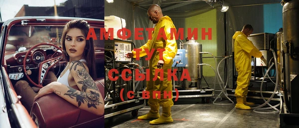 сатива Каменногорск