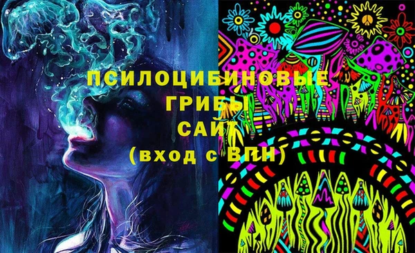 сатива Каменногорск