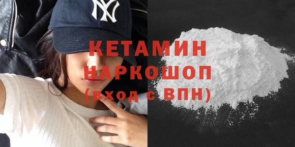 сатива Каменногорск