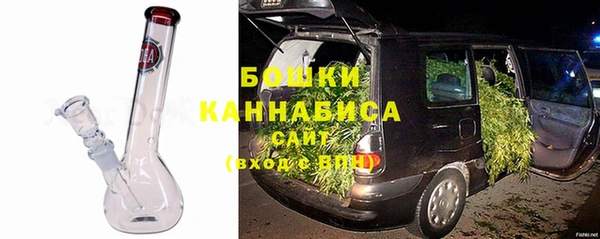 сатива Каменногорск