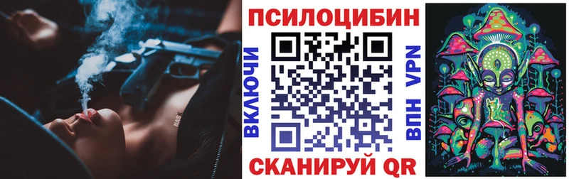 цена   Кстово  Псилоцибиновые грибы Magic Shrooms 